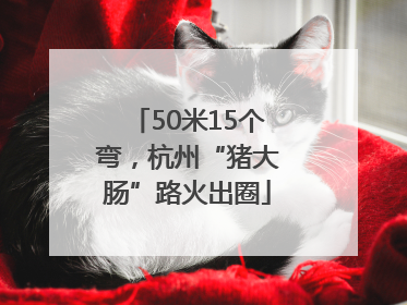 50米15个弯，杭州“猪大肠”路火出圈