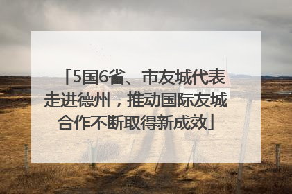 5国6省、市友城代表走进德州，推动国际友城合作不断取得新成效