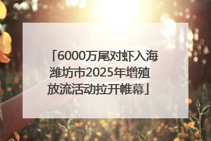 6000万尾对虾入海 潍坊市2025年增殖放流活动拉开帷幕