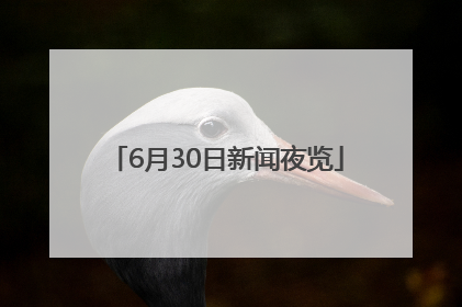 6月30日新闻夜览
