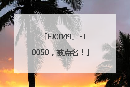FJ0049、FJ0050，被点名！